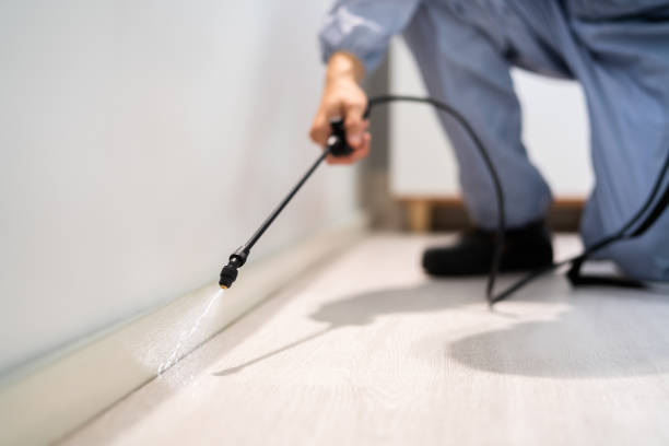 Licensed Cockroach Control service in Elfers, FL - Nex Pest Control