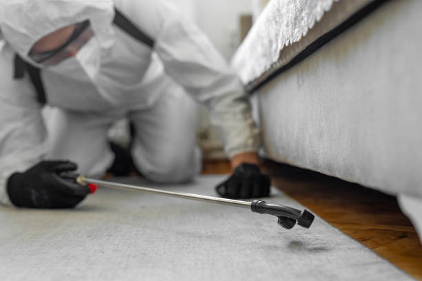 Professional Cockroach Control technician working in Elfers, FL